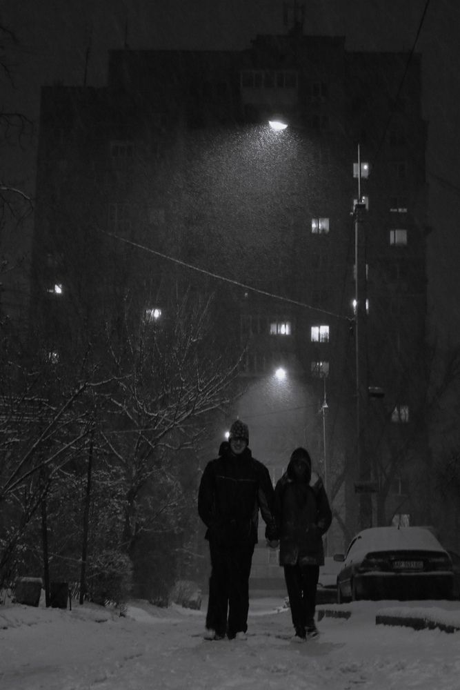 Силуэты зимнего вечера