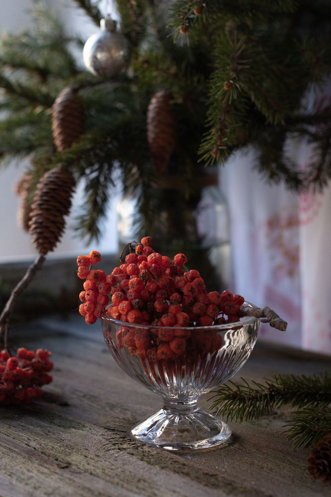 Photograph by Екатерина Брехова