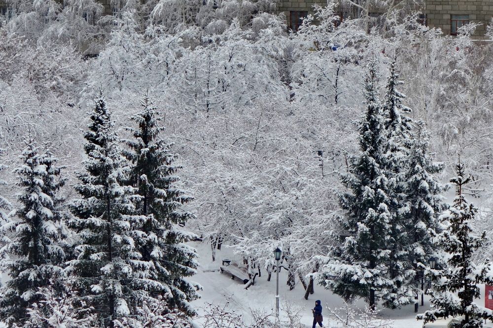 Photograph by Сергей Гребенников