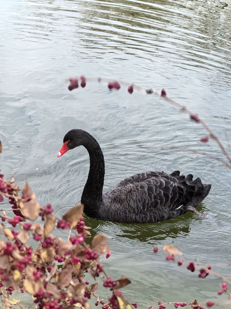 Photograph by Елизавета Зыкова