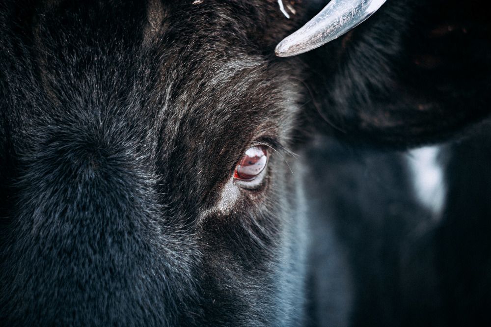 Photograph by Брисач Станислав