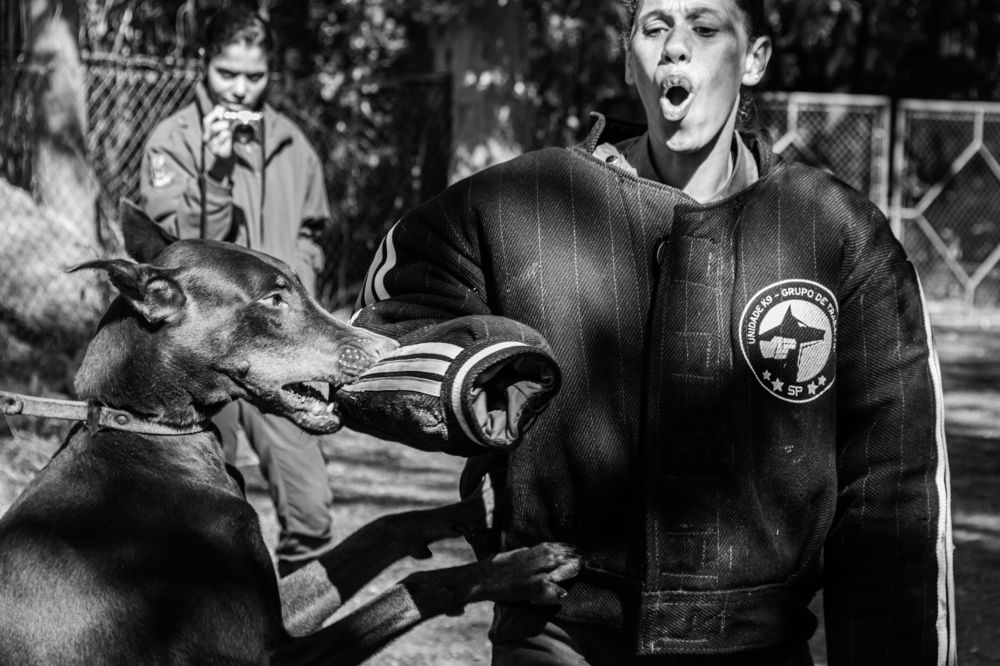 Photograph by roselino de oliveira rocha