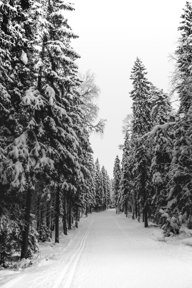 Photograph by Юлия Крюкова