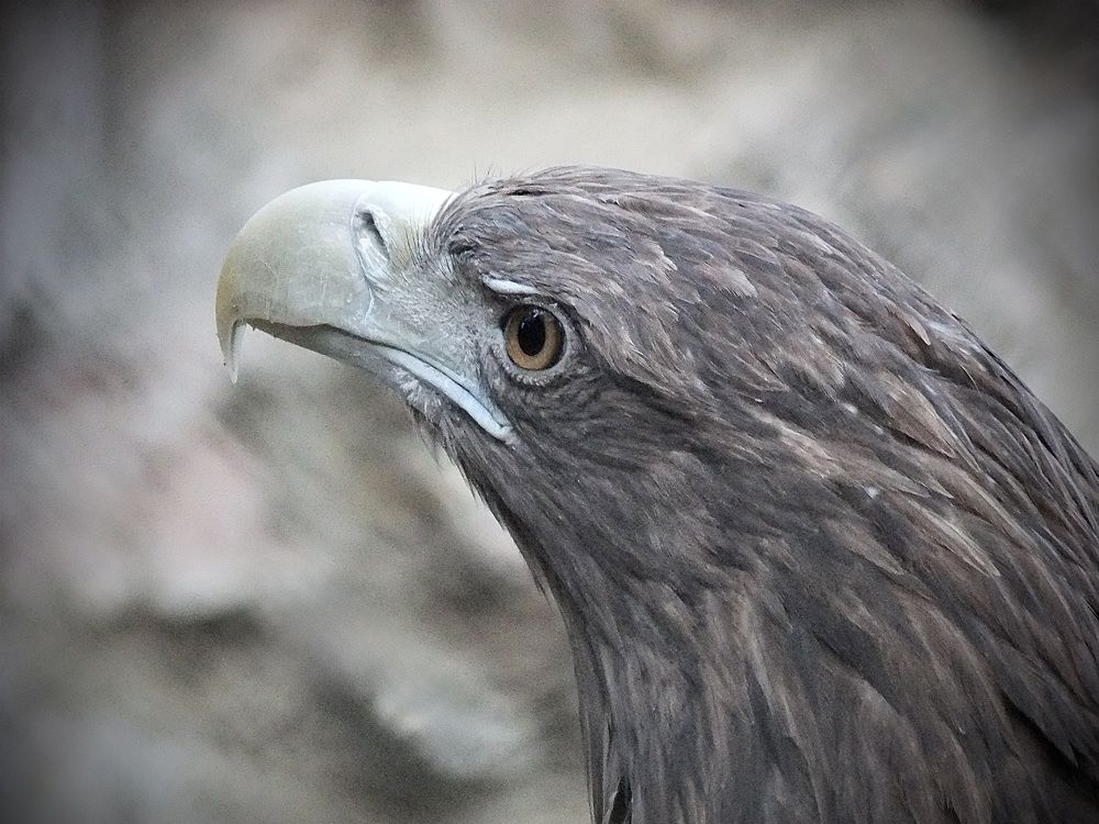 Photograph by Татьяна Шитлина