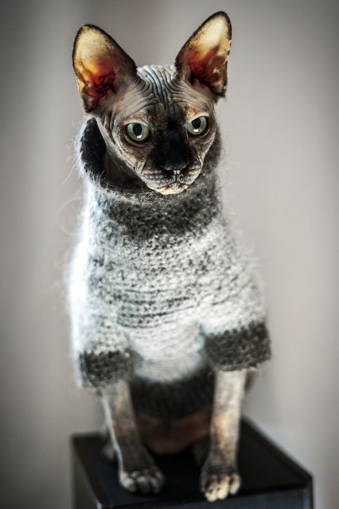 Photograph by Игорь Федянин