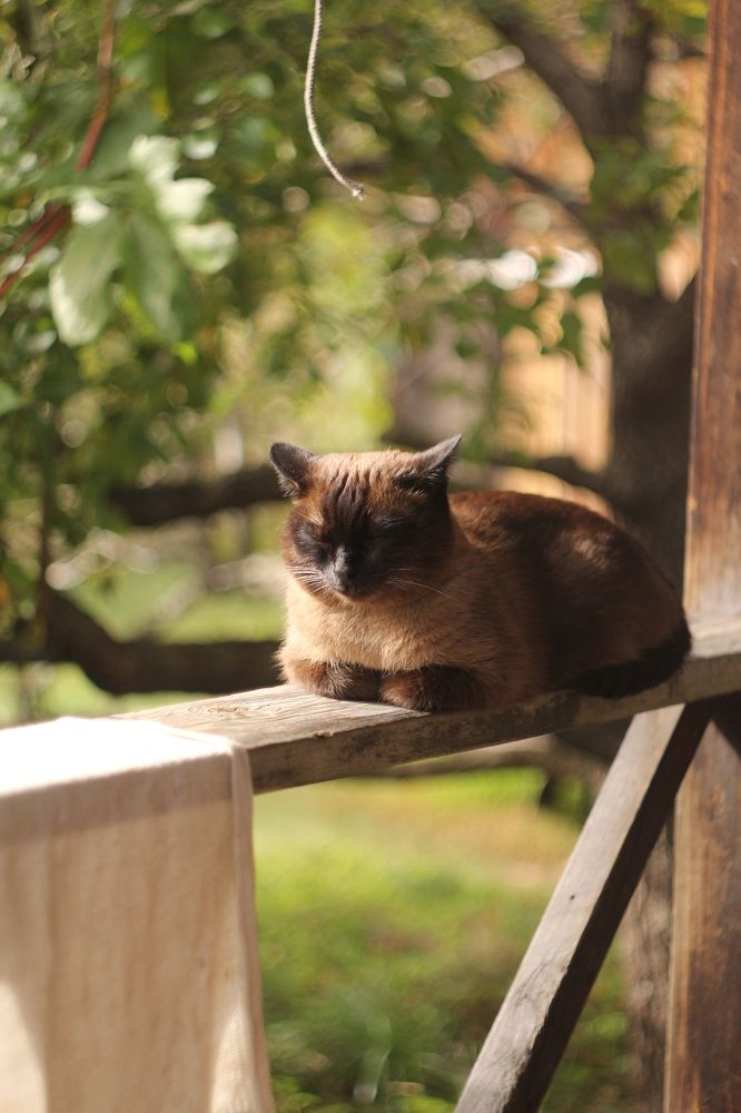 Photograph by Екатерина Брехова