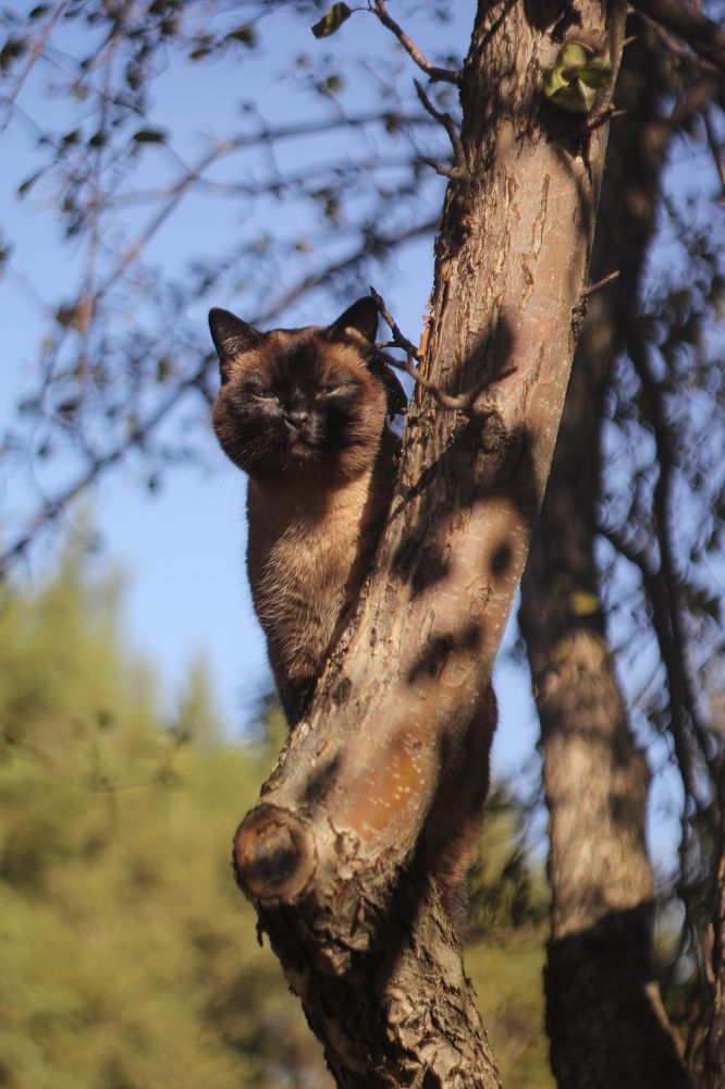 Photograph by Екатерина Брехова