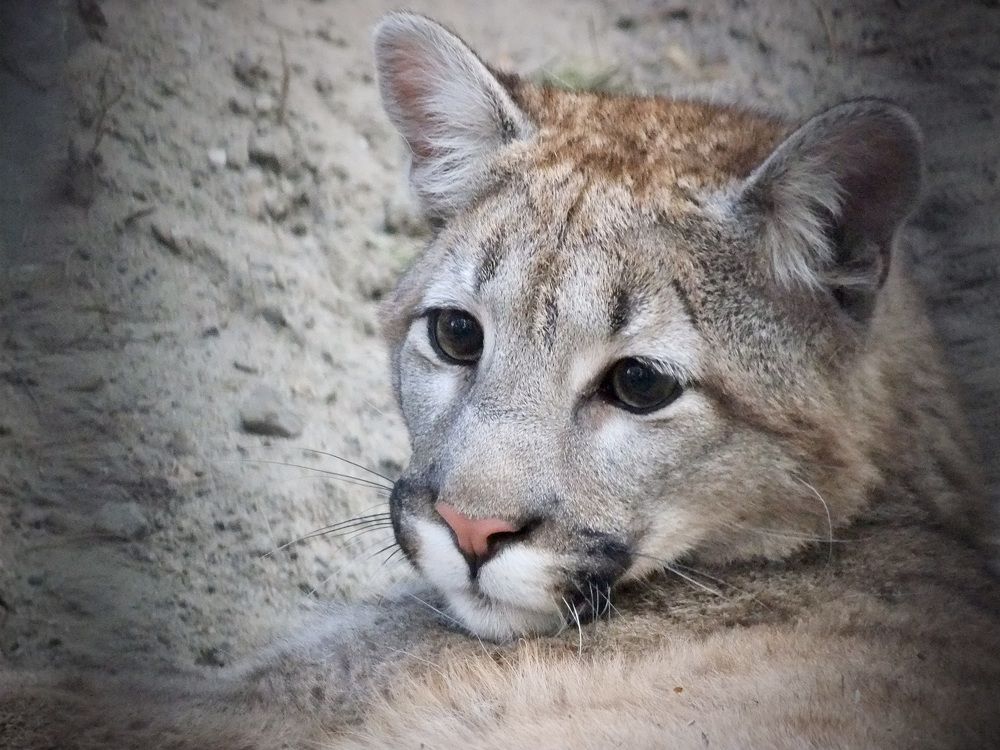 Photograph by Татьяна Шитлина