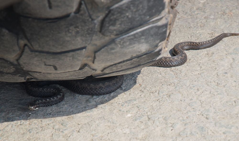 Photograph by Василий Быстрицкий