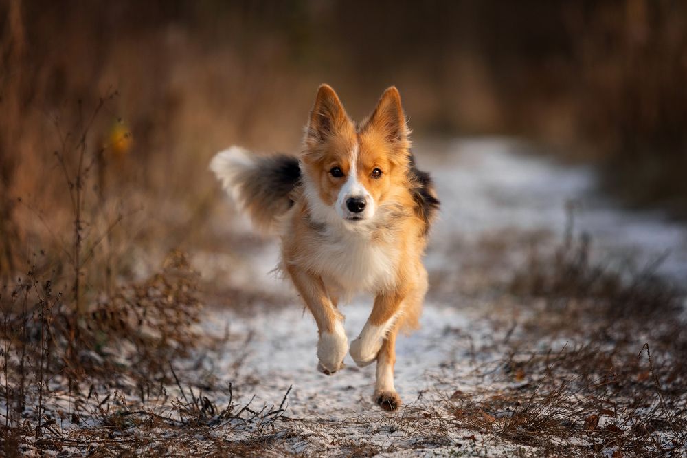 Фотография автора Ольга Кузина
