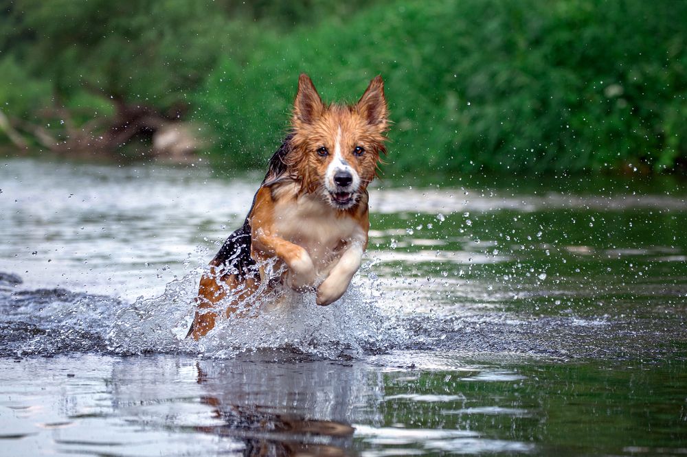 Фотография автора Ольга Кузина