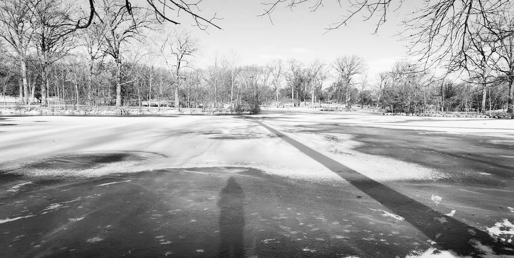 Фотография автора Adriana Rocha