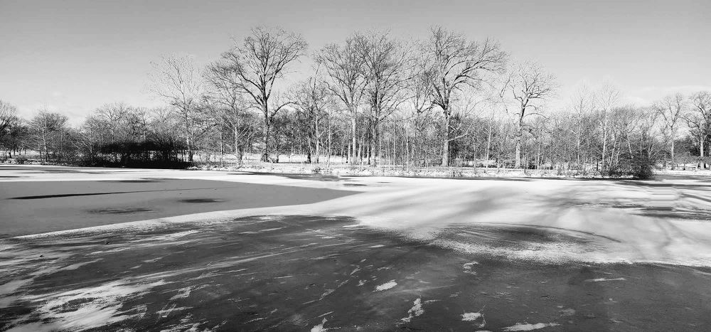 Фотография автора Adriana Rocha