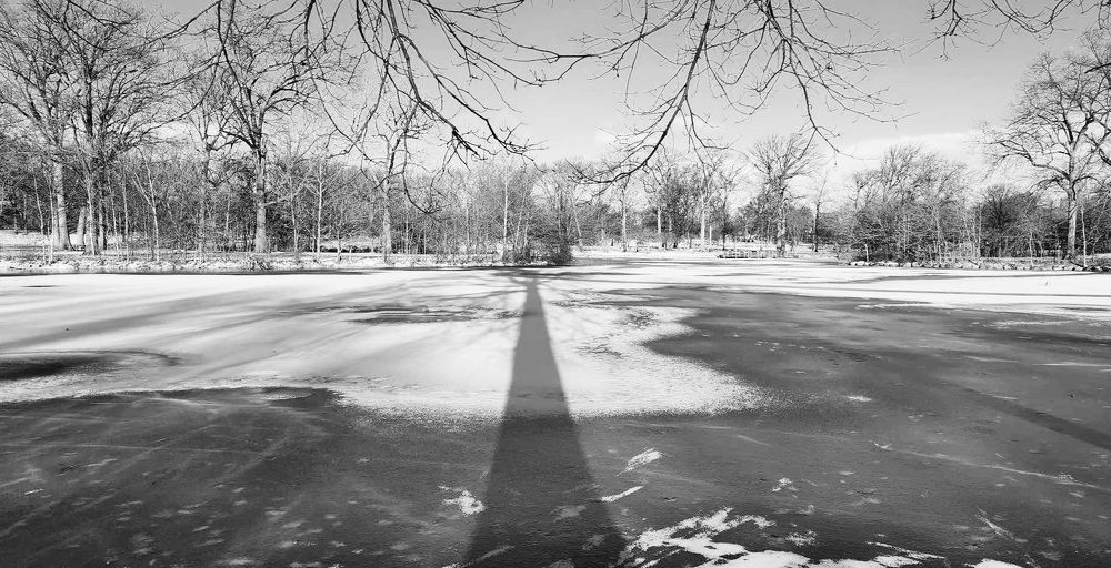 Фотография автора Adriana Rocha