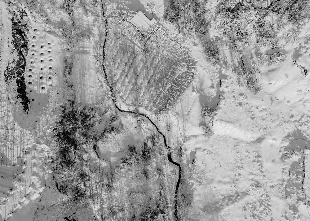 Фотография автора Mojtaba Gitinezhad