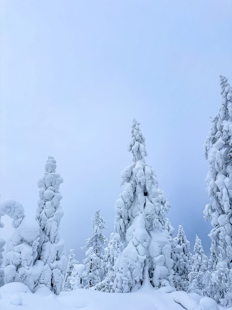 Photograph by Екатерина Лицкан