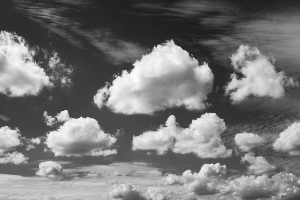 Photograph by Elliott Grieshofer