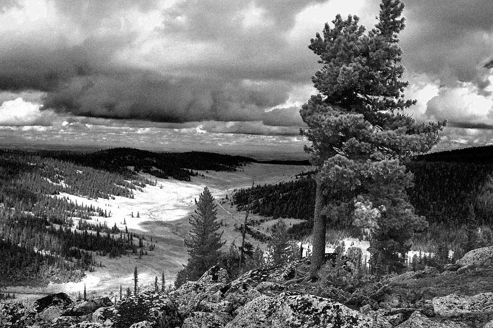 Photograph by Владимир Зубов