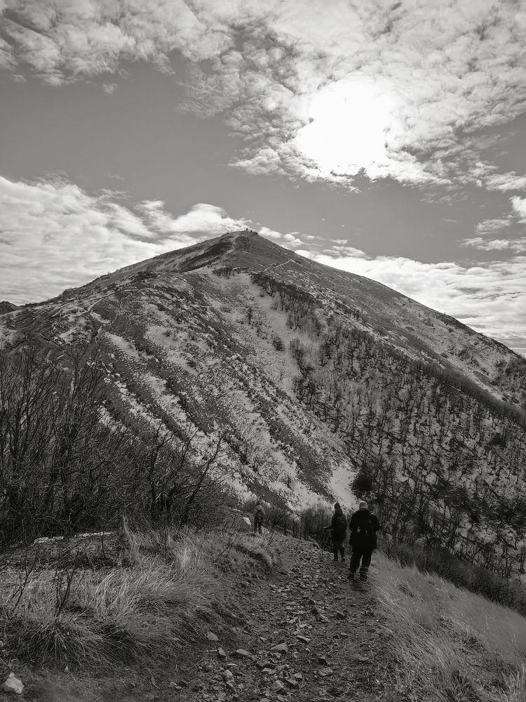 Photo #11611046