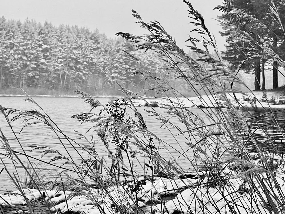 Photograph by Светлана Хохлова