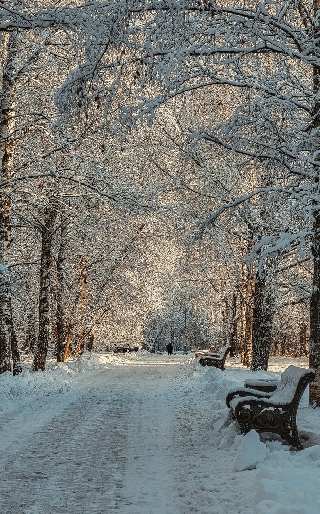 Photograph by Дарья