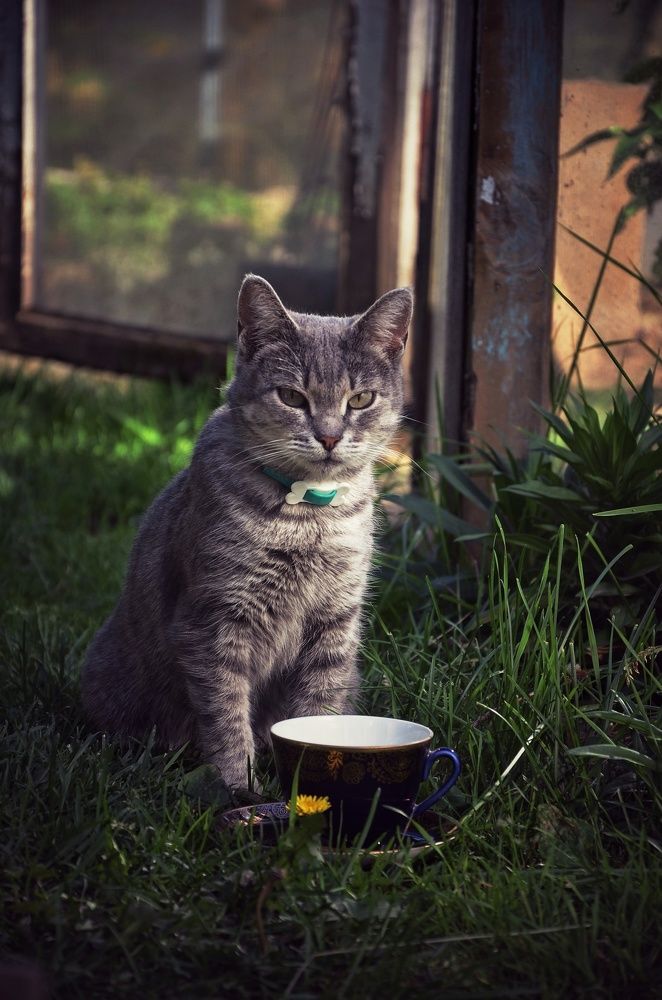 Photograph by Зыкова Мария