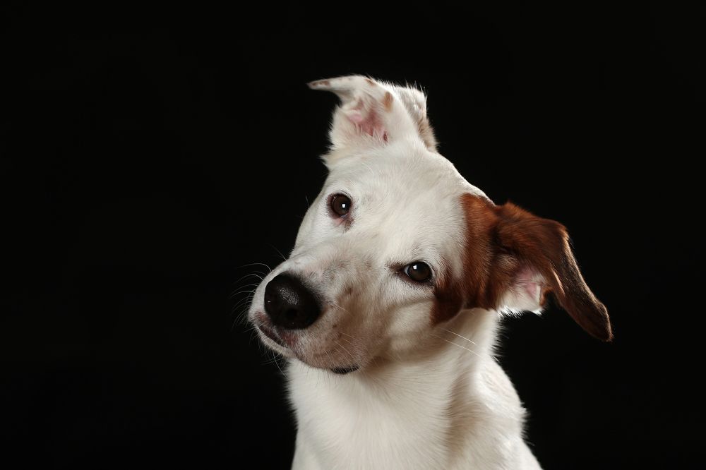 Photograph by Светлана Орешко