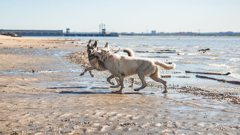 Photograph by Алина Плотникова