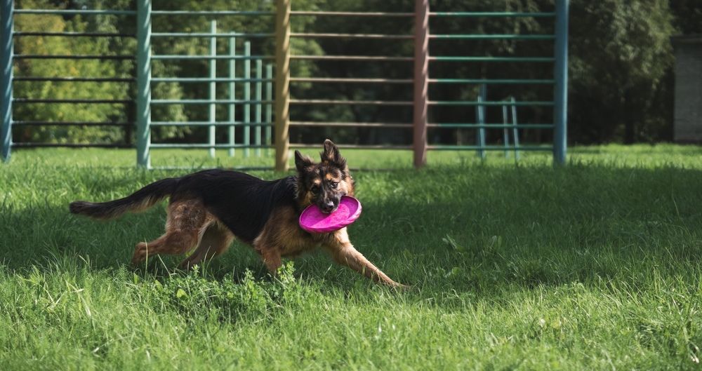 Photograph by Алина Плотникова