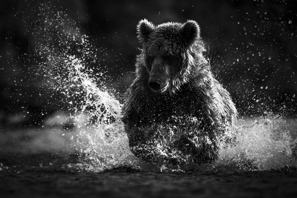 Photograph by Александр Кукринов