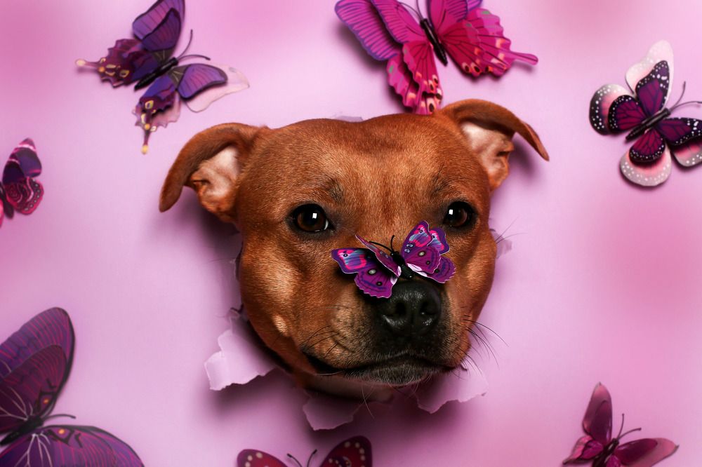 Photograph by Светлана Орешко