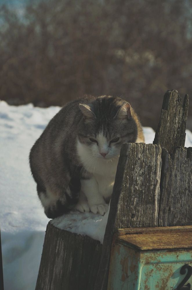 Photograph by Зыкова Мария