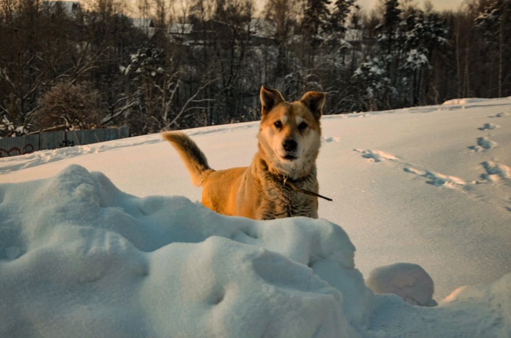 Photograph by Зыкова Мария