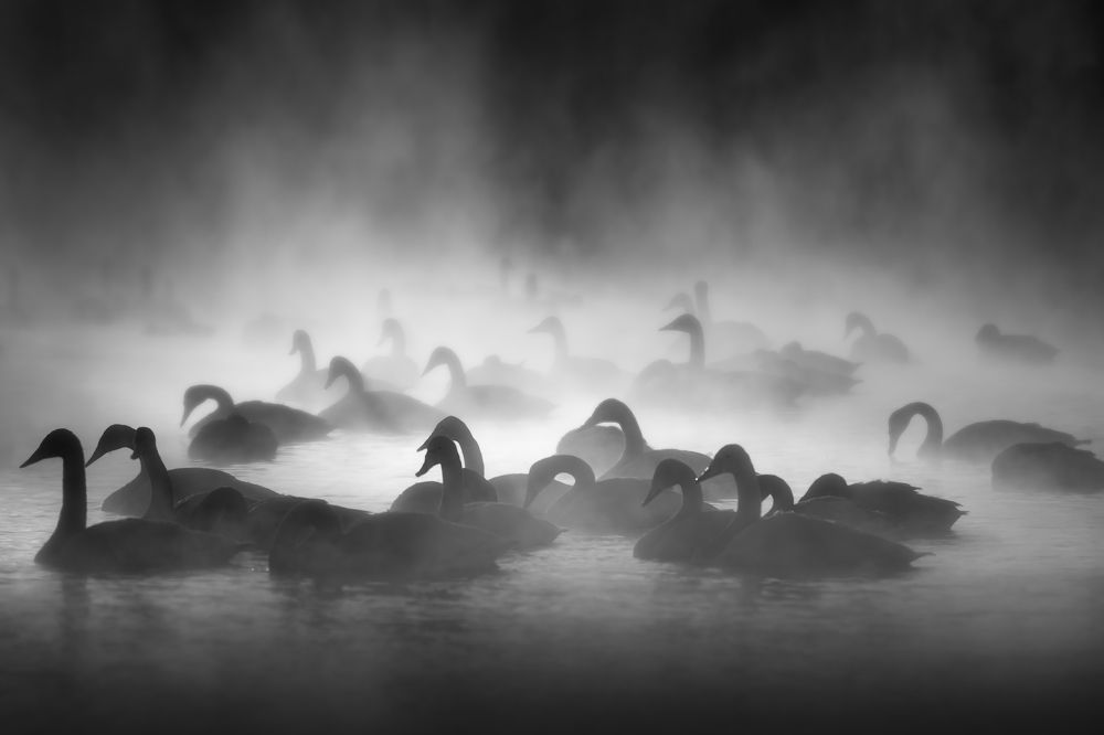 Photograph by Александр Кукринов