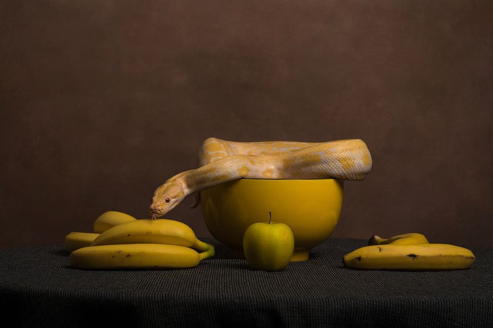 Photograph by Юлия Шестопалова