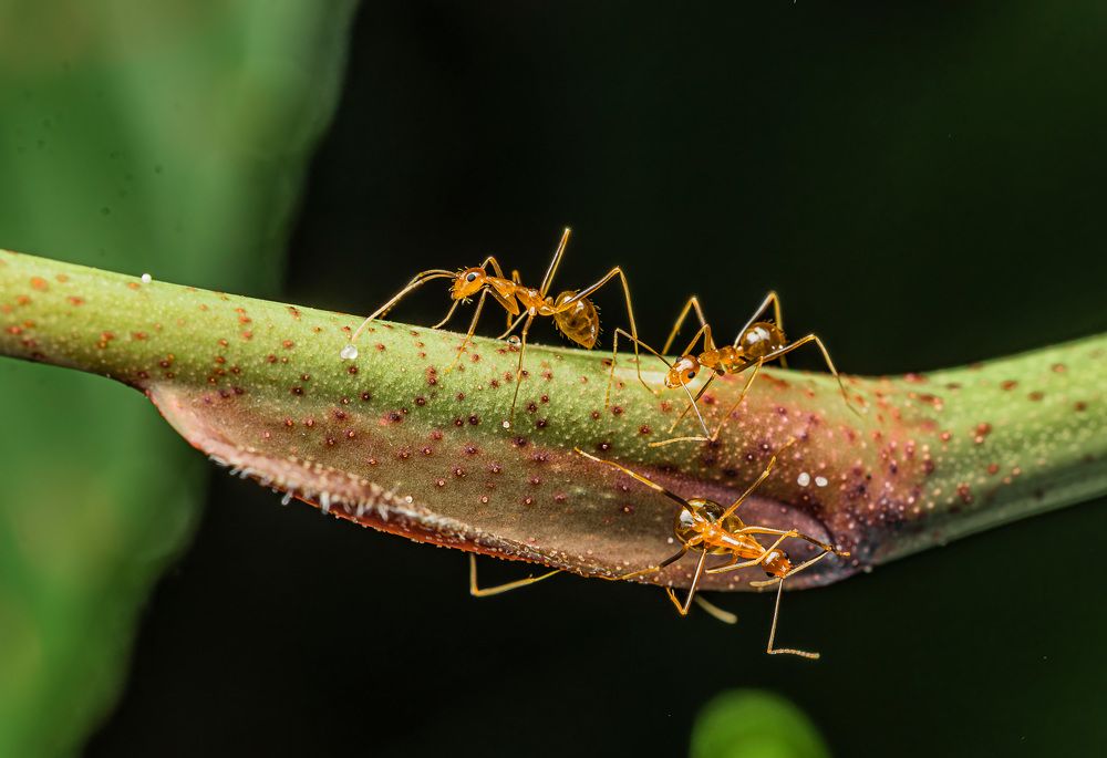 Photograph by Hardik Shah