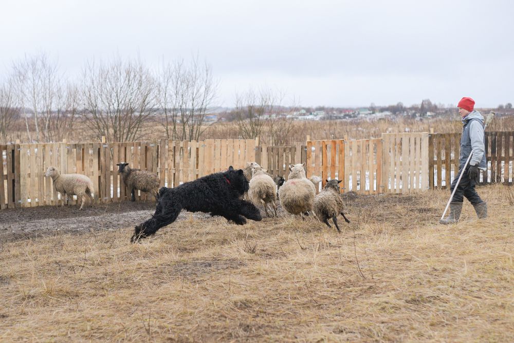 Photograph by наталья залогина