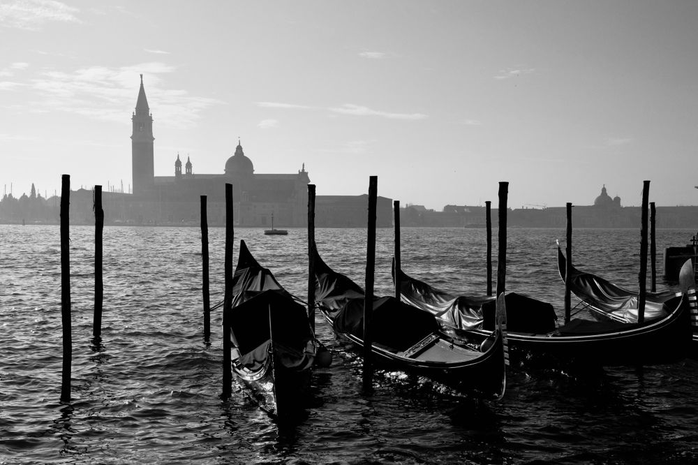 Photograph by Медведев Антон