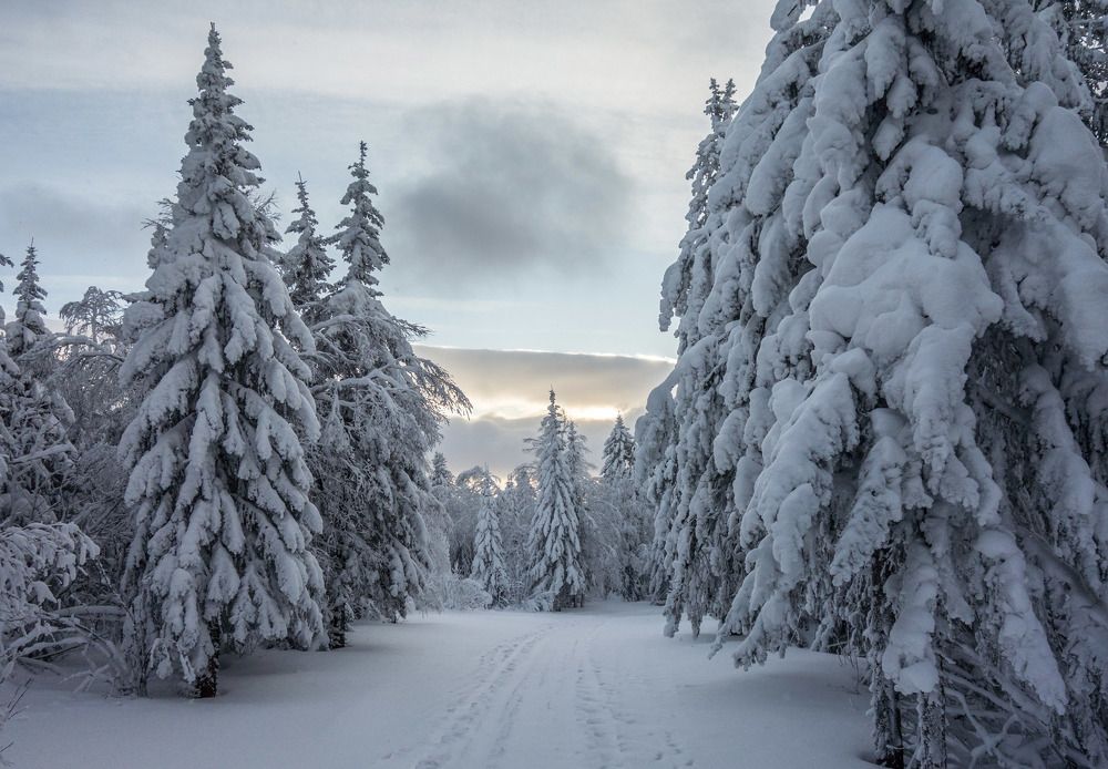 Photograph by Виктор Петров