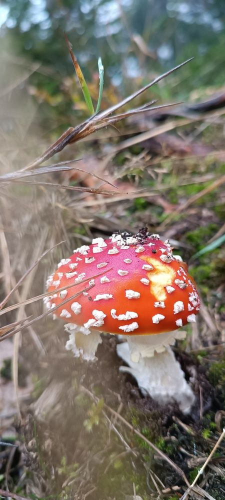 Photograph by Мария