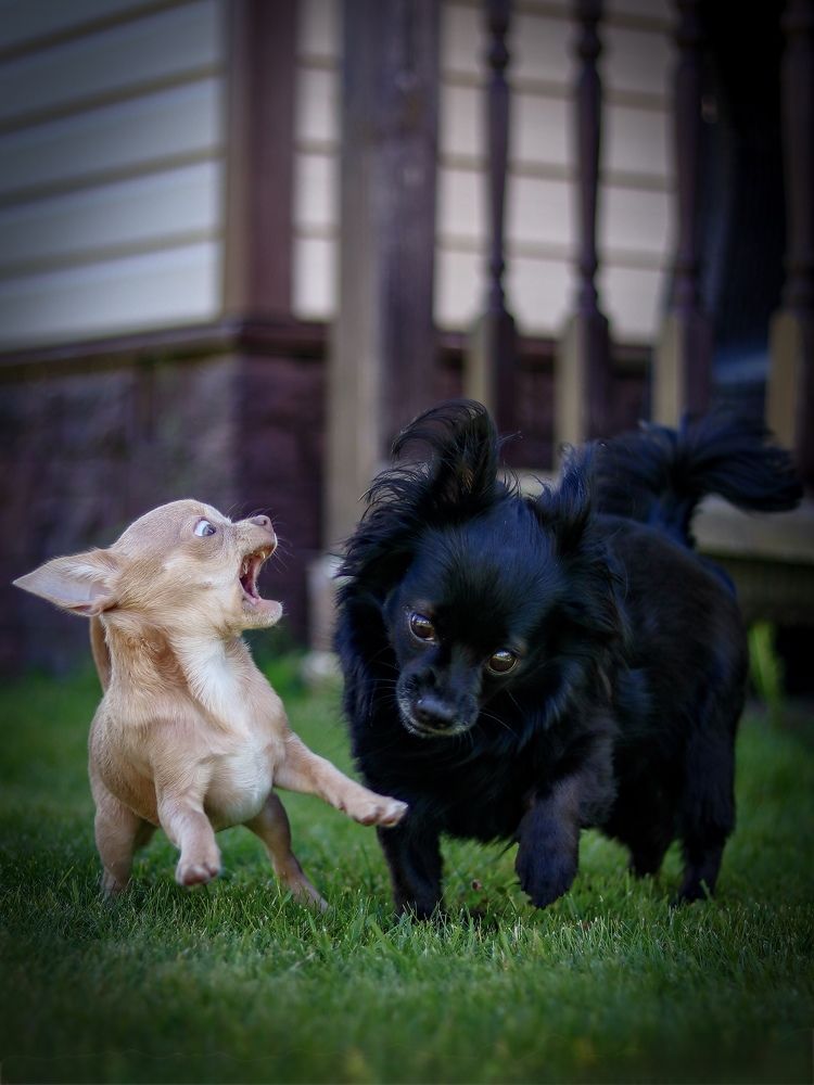 Photograph by Ekaterina Slepneva