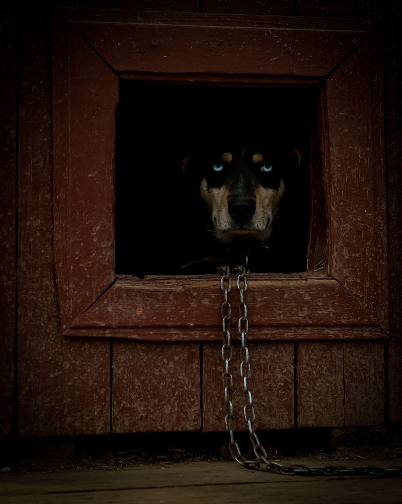 Photograph by Константин Никитин