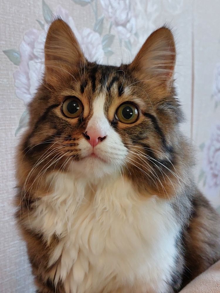 Photograph by Нина Паршина