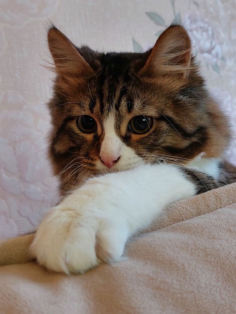 Photograph by Нина Паршина