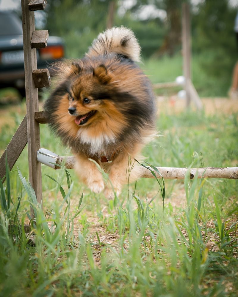 Photograph by Константин Никитин