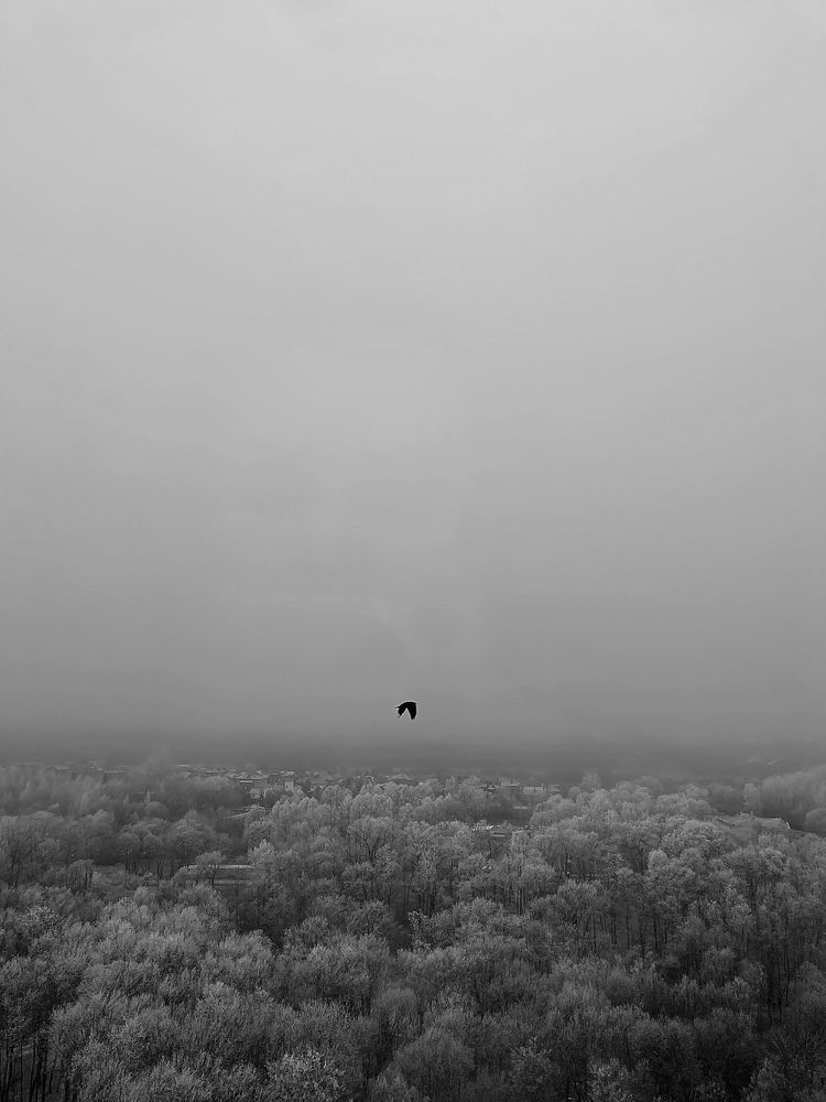 Photograph by Александр Михайлович