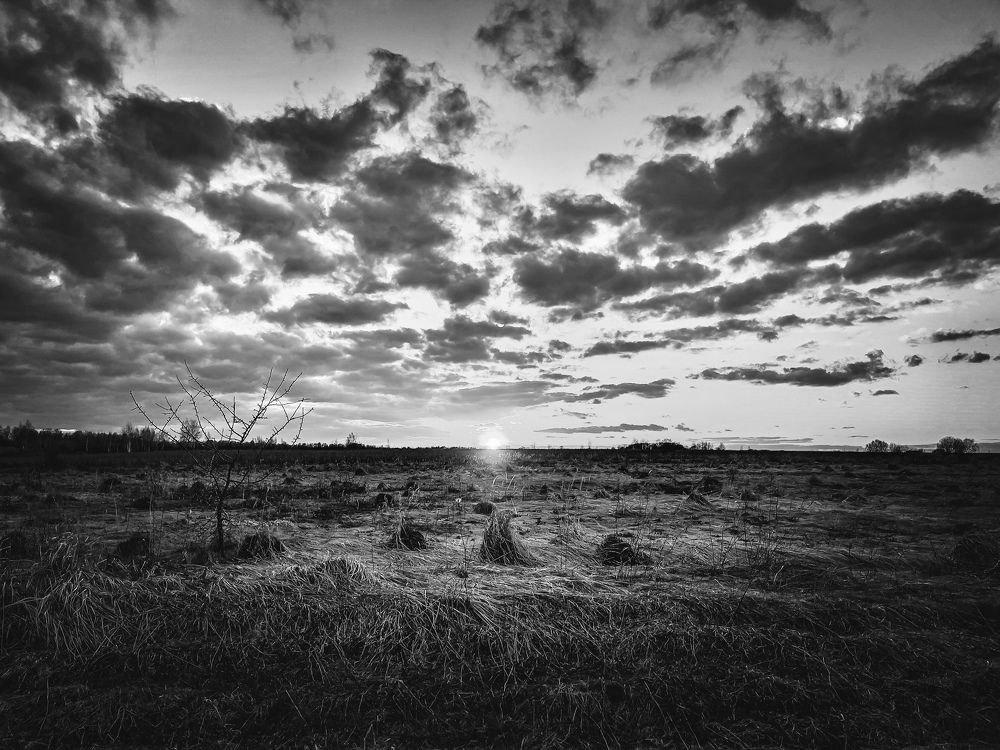 Photograph by Александр Михайлович