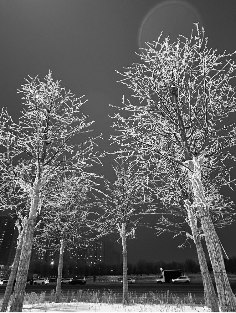 Photograph by Амирова Анар