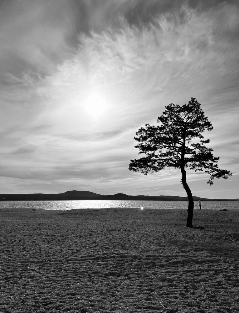 Photograph by Амирова Анар