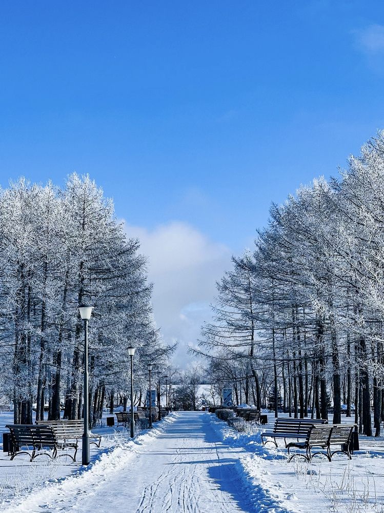 Photograph by Татьяна Галаева